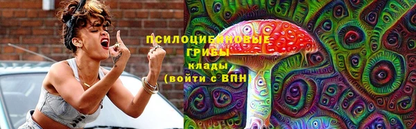 крисы Белоозёрский