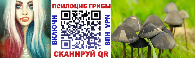 Галлюциногенные грибы мухоморы  Шацк 